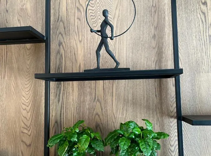 Apartament Rzeszow *